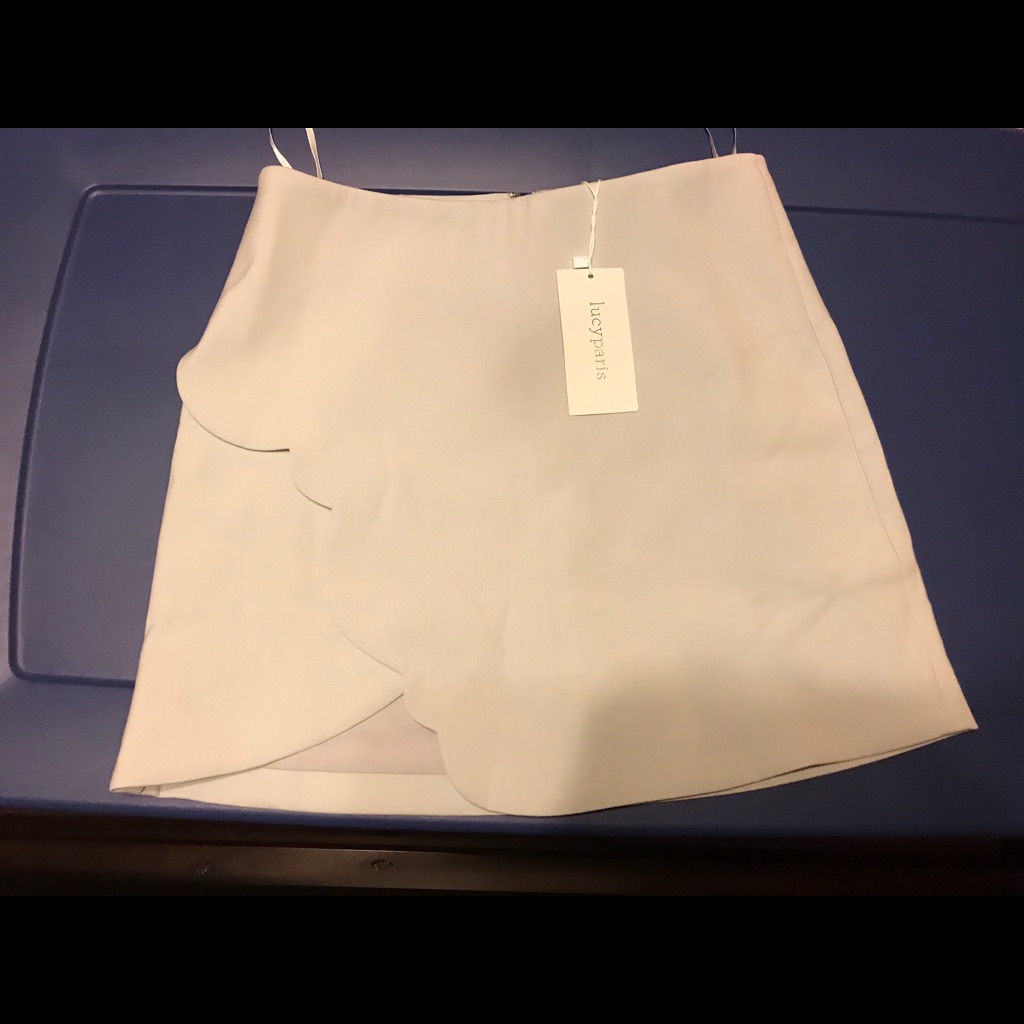 Lucy Paris Brand New Mini Skirt